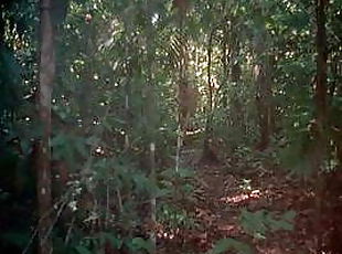 アウトドア, ビンテージ, 18 年間, ジャングル